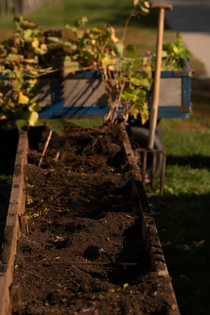 Close-up van een houten plantenbak gevuld met donkere, vruchtbare aarde, wat duidt op recent aangebrachte bemesting. De bak bevat enkele jonge planten en stekjes, sommige met zichtbare wortels. Op de achtergrond is een blauwe kar of trolley te zien met meer planten, wat suggereert dat er een groter tuinproject gaande is. Een tuingereedschap, mogelijk een schoffel of hark, leunt tegen de kar. Het beeld illustreert de voorbereiding van een moestuin of plantenbak met verse, voedingsrijke grond voor optimale plantengroei.