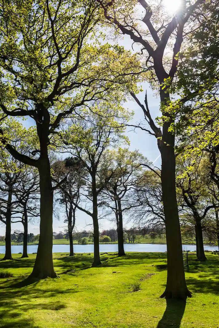 bos en parken