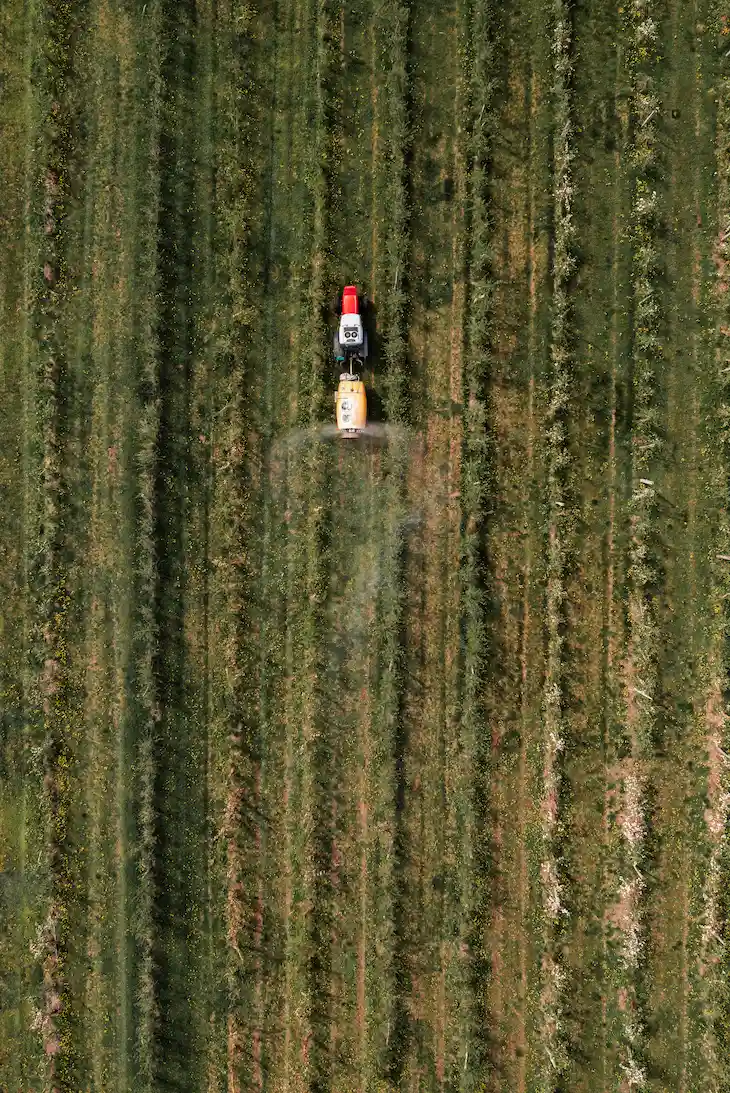 Luchtfoto van een landbouwveld met een tractor die gewasbeschermingsmiddelen verspreidt, wat driftschade illustreert. De tractor, zichtbaar als een kleine rode en gele stip in het midden van het beeld, spuit een wolk van fijne druppels over rijen groene gewassen. De nevel verspreidt zich breder dan de beoogde strook, wat het risico op driftschade aan naburige gebieden aantoont. Het veld strekt zich uit over het hele beeld, met duidelijke lijnen van gewasrijen die de schaal van de landbouwactiviteit benadrukken.