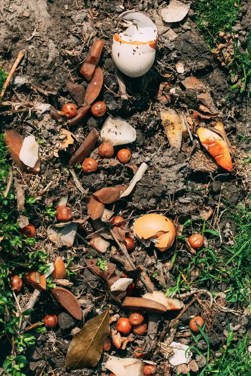 wildschade kaalvraat